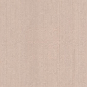 Light beige textured surface with a fine vertical grain, resembling embossed paper or fabric, presented as a uniformly colored close-up swatch.